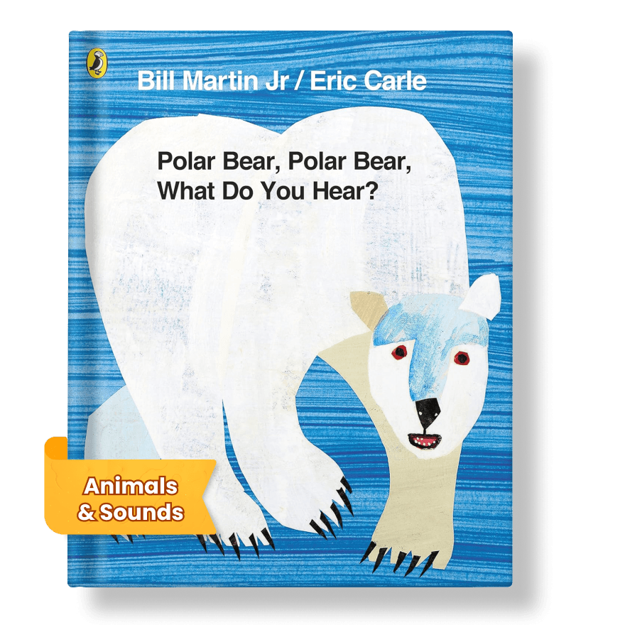 the cover of Polar bear